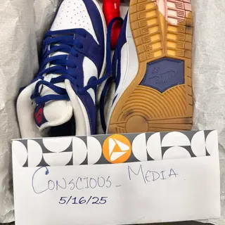 USED Nike SB Dunk Low Pro LA Dodger, Og All, Size 10, $220 shipped