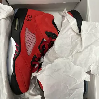jordans ,Nike sb & air max 95/97 storm sz 10-11
