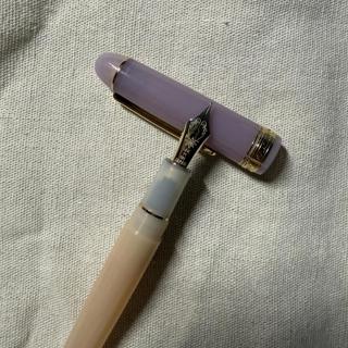 Platinum 3776 Chai Tea <M> and Akizakura <M>