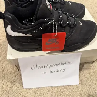 Nike SB Darwin Supreme Low size 11 $165 invoiced and shipped obo