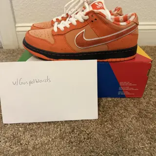 Nike Dunk SB Orange Lobster Size 9 $300 shipped