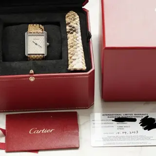 2023 Cartier Tank Solo W5200021 “Snakeskin”