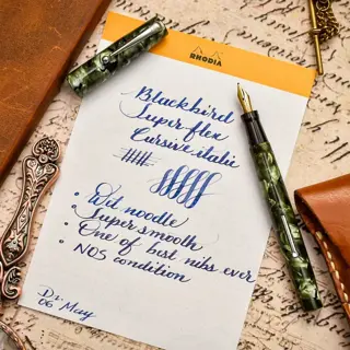Extraordinary Blackbird Mabie Todd Grey Marbled Cellulose medium CSI Megaflex Wet Noodle 14C gold nib NOS condition