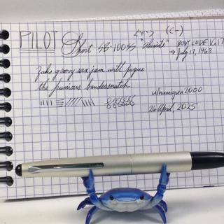 Pilot non-telescopic Short SB100-SS <F> (C-/D)