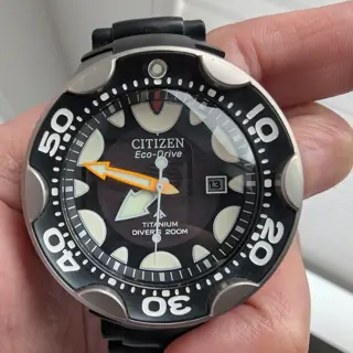 Titanium Citizen Orca - $200