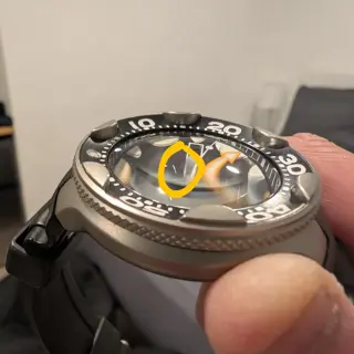 Titanium Citizen Orca - $200