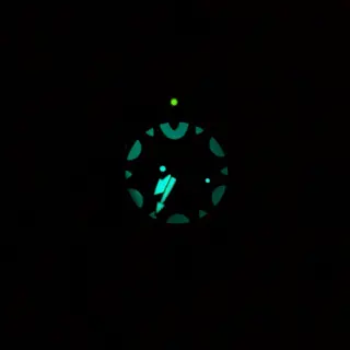 Titanium Citizen Orca - $200