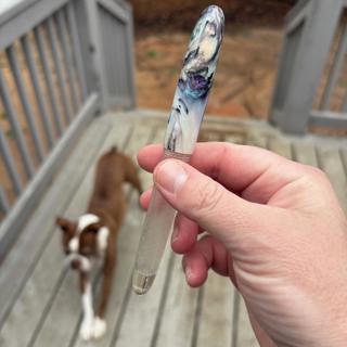 Two Beautiful Pens Priced to Sell