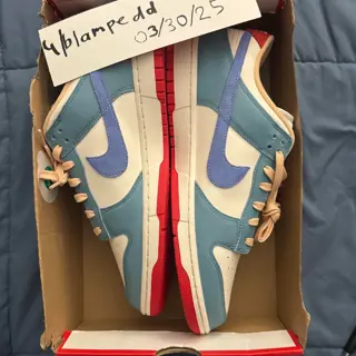 NIKE dunk premium size 12 DS $100