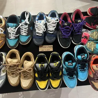 Nike SB Collection