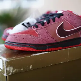 SB Dunk Red Lobster 🦞 Grail 🦞SZ 11.5 DS [$3750 OBO Shipped]