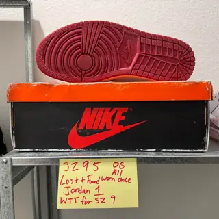 Lost and Found SZ 9.5 for SZ 9